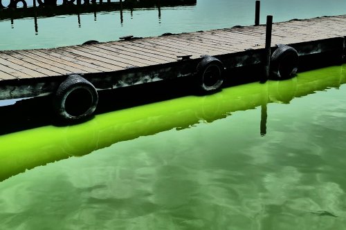 Land.Schiedeck.A. Albufera7